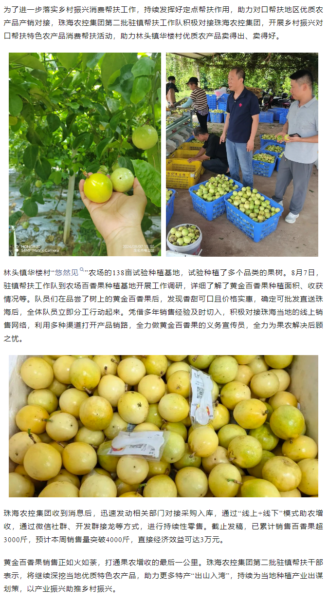 365WM SPORTS集团助力产销对接 对口帮扶果香飘百里.png